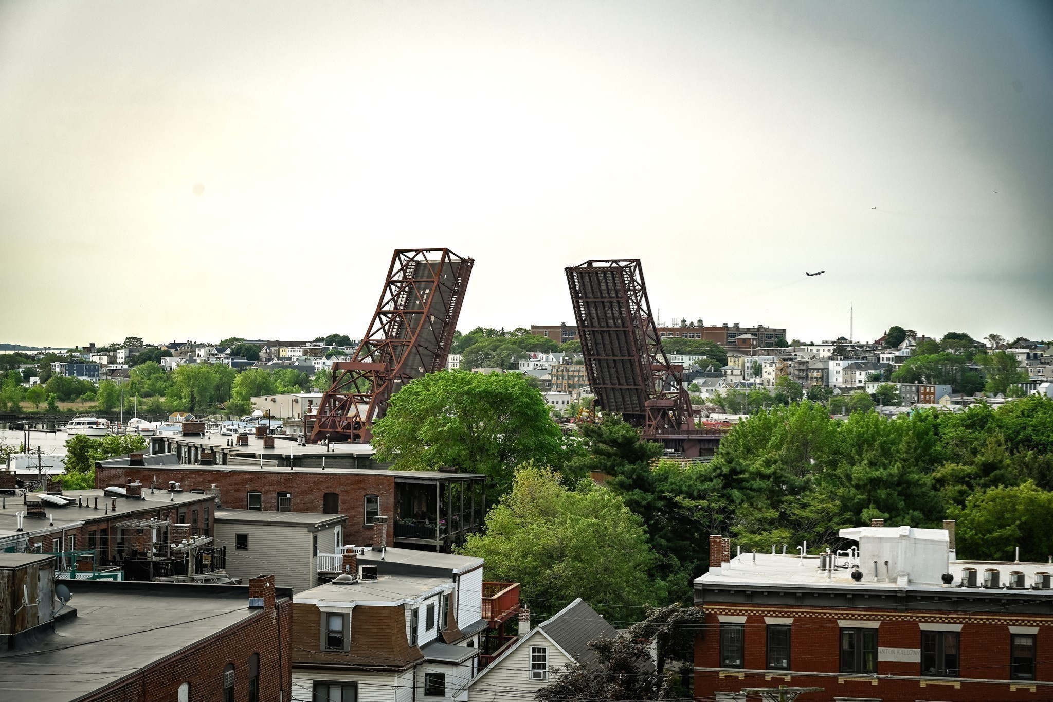 23 Chestnut St Unit 5, Chelsea, MA 02150 - Image 23