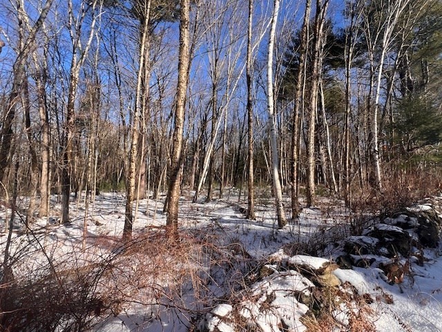 140 Beebe Rd, Monson, MA 01057 - Image 7