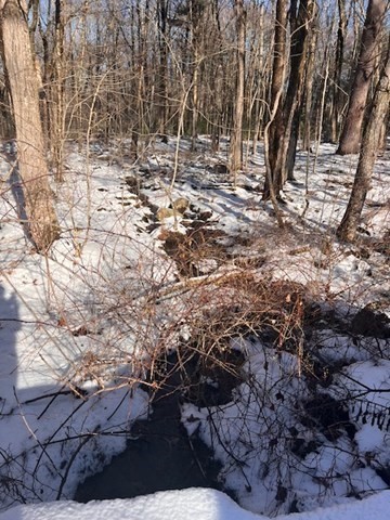 140 Beebe Rd, Monson, MA 01057 - Image 8