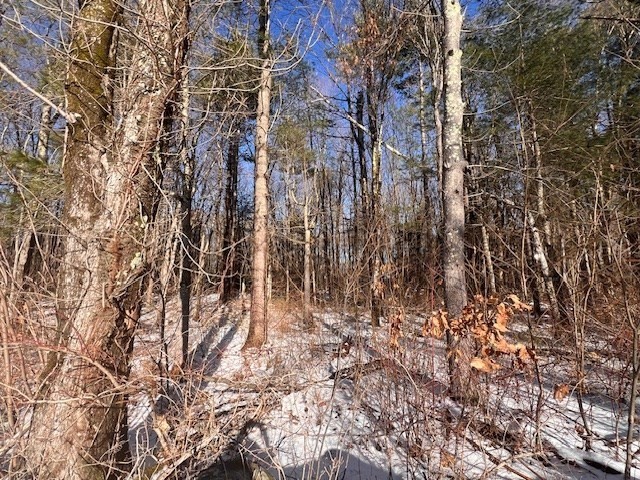 140 Beebe Rd, Monson, MA 01057 - Image 10