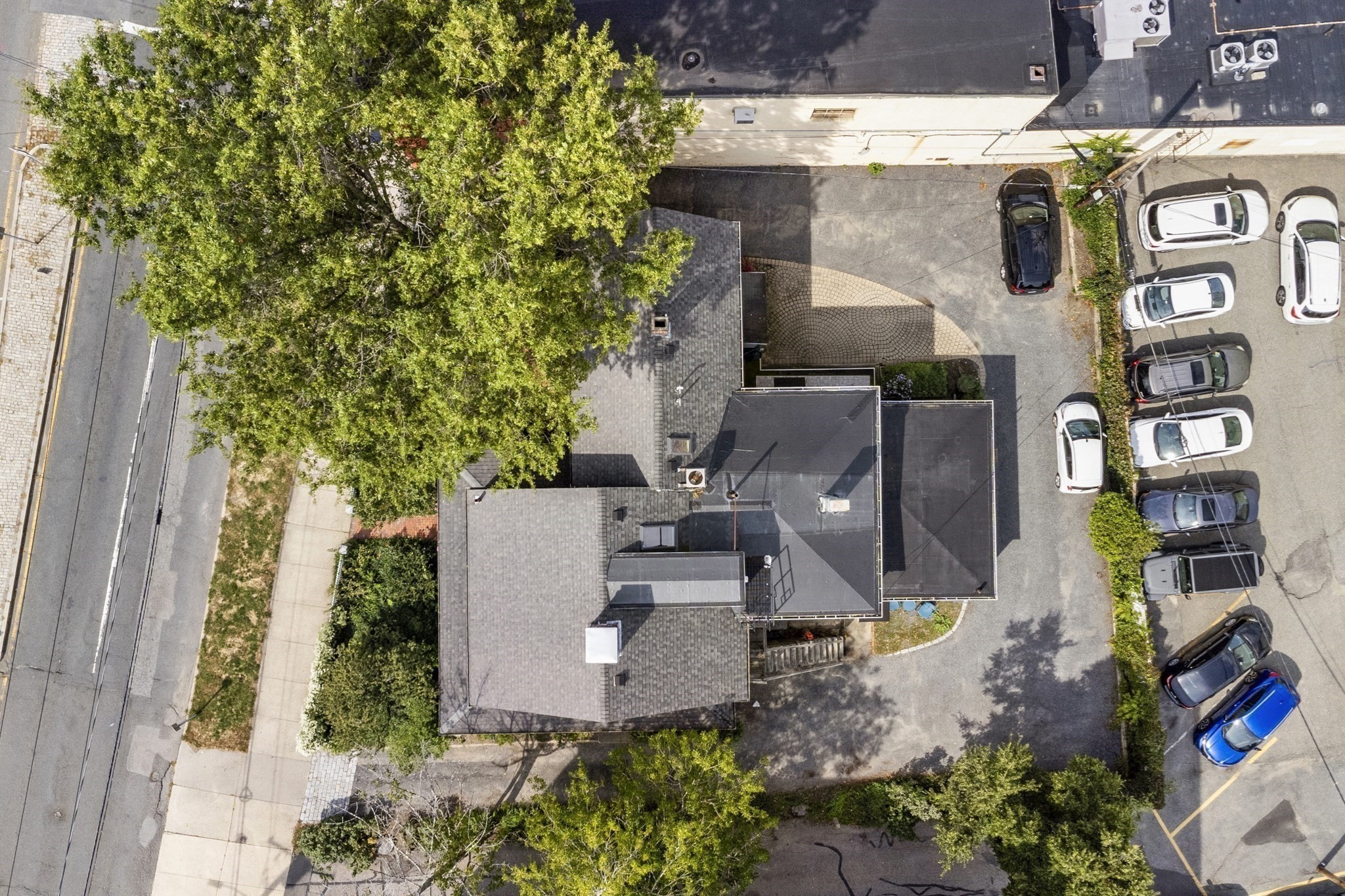 393 Massachusetts Ave, Arlington, MA 02474 - Image 6