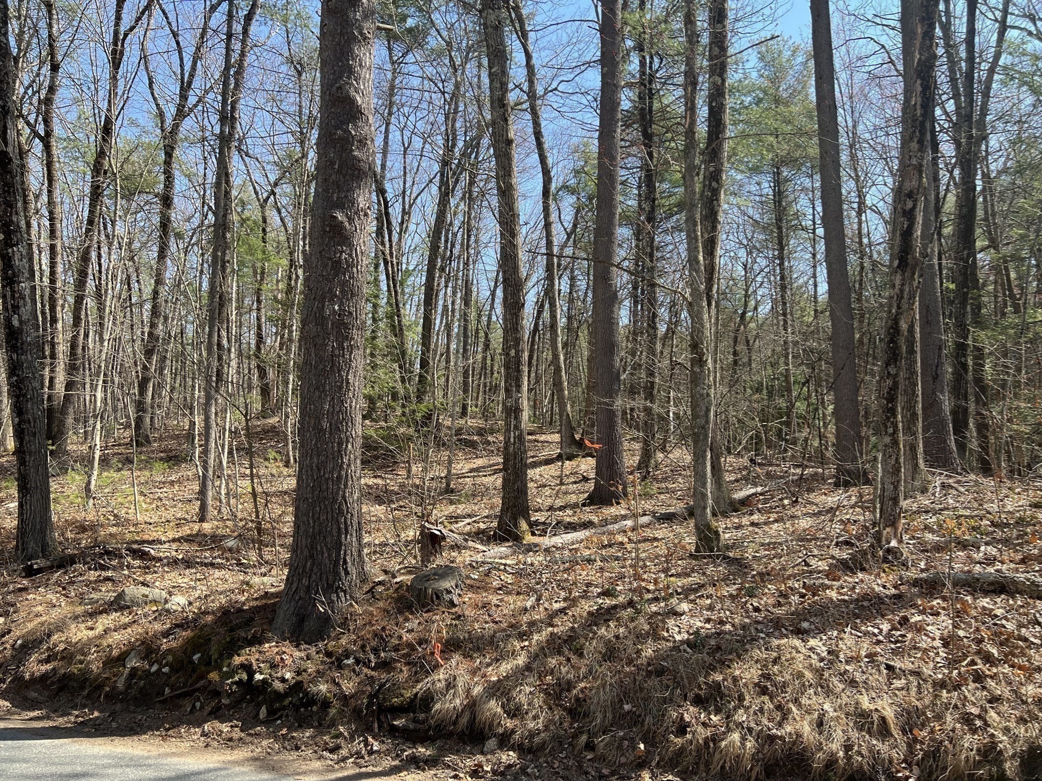 2 January Hills Road, Shutesbury, MA 01072 - Image 4