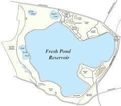 483 Concord Ave., Cambridge, MA 02138 - Image 16