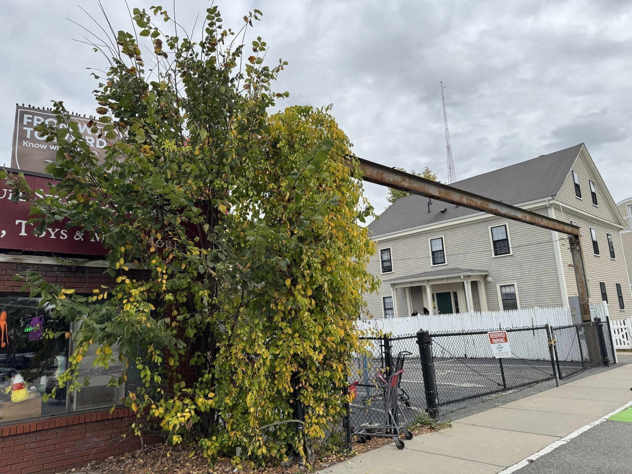 483 Concord Ave., Cambridge, MA 02138 - Image 6