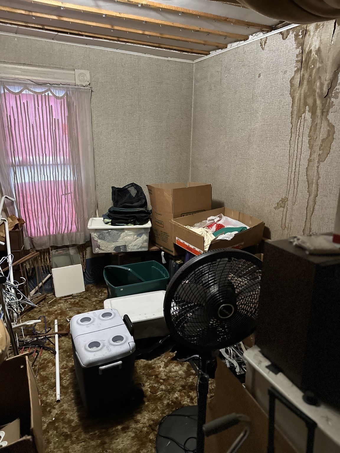 20 Hawthorne St, Springfield, MA 01105 - Image 8