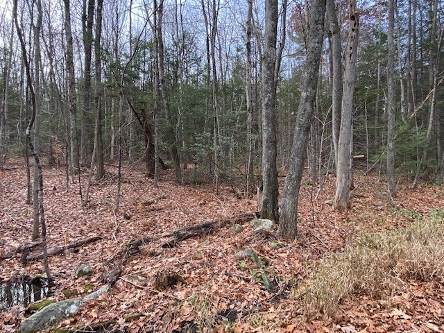 55 Wendell Rd, New Salem, MA 01355 - Image 4