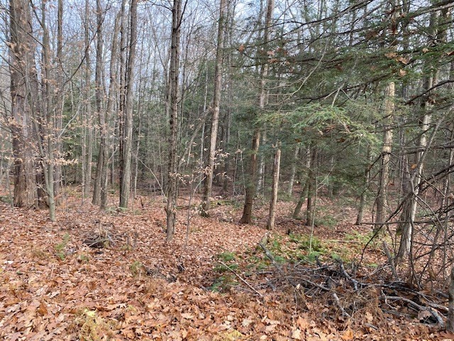 55 Wendell Rd, New Salem, MA 01355 - Image 5