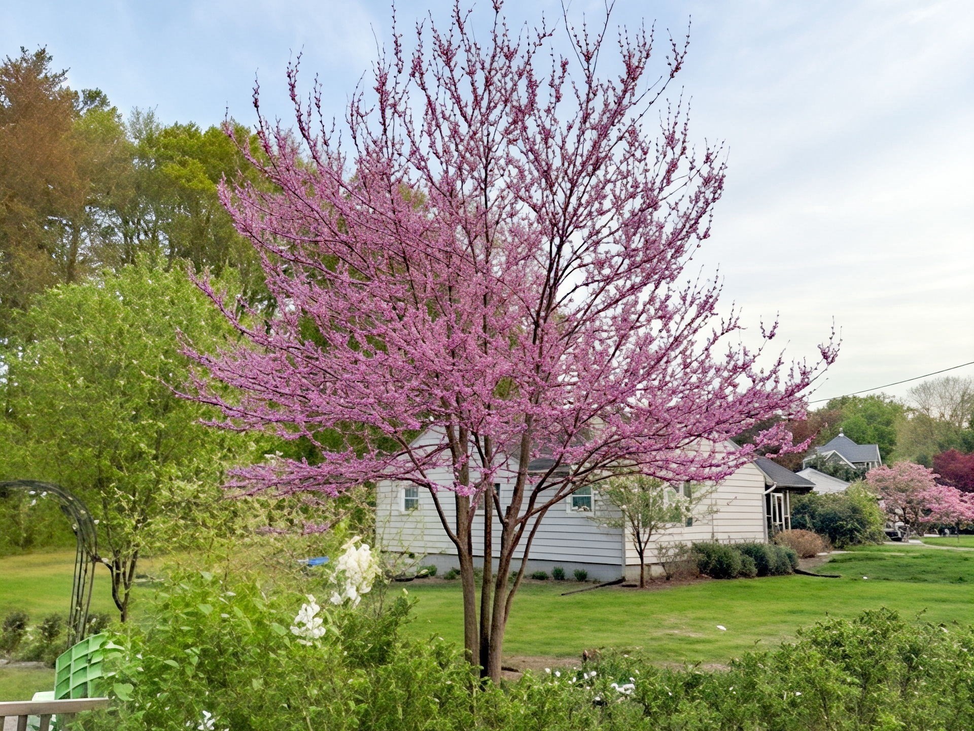 51 Candice Cir, Springfield, MA 01107 - Image 31