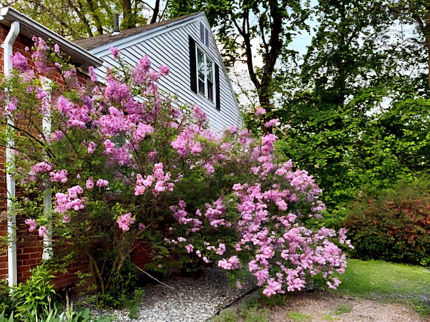 51 Candice Cir, Springfield, MA 01107 - Image 32