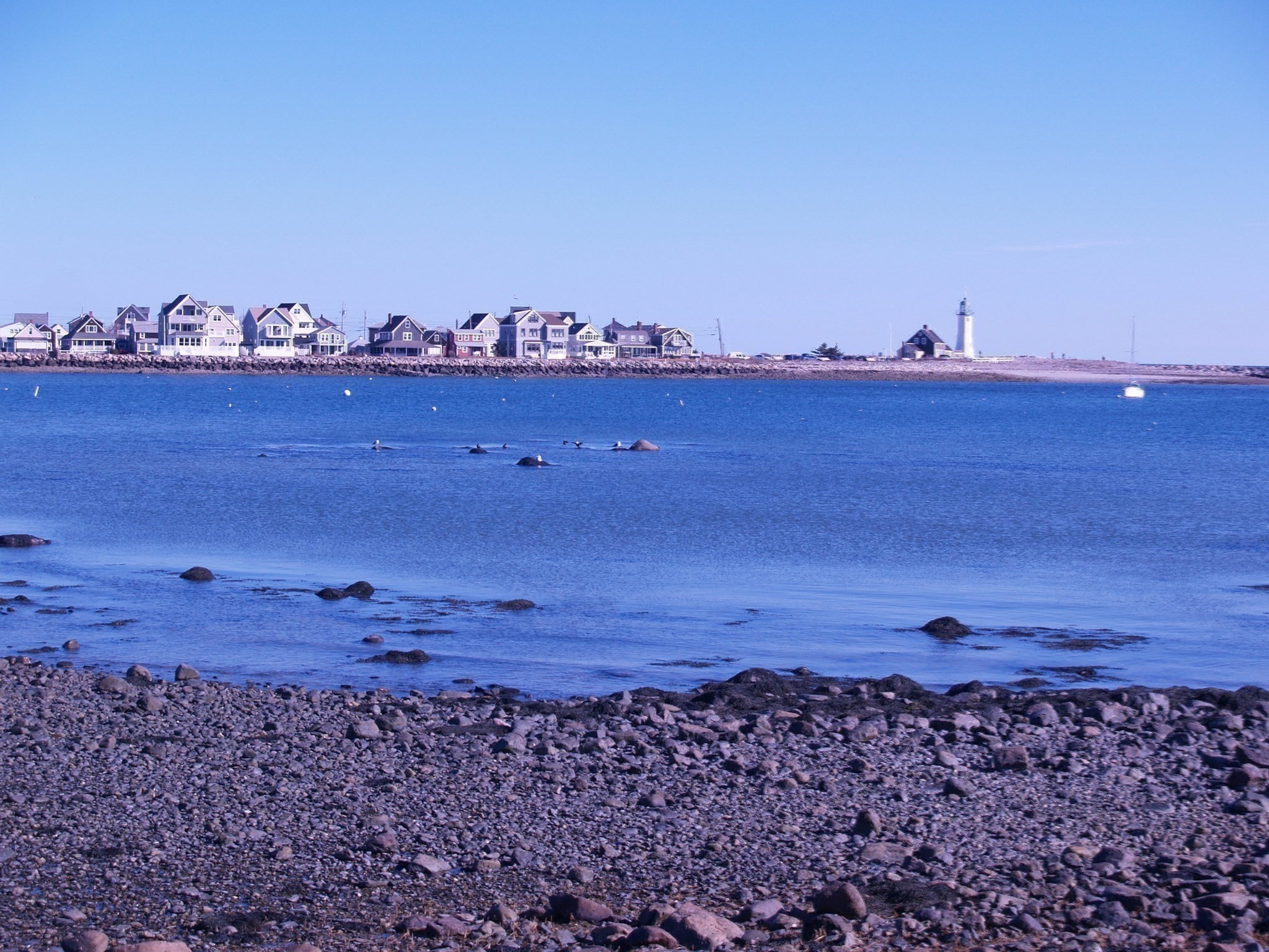 10 New Driftway Unit 203, Scituate, MA 02066 - Image 14