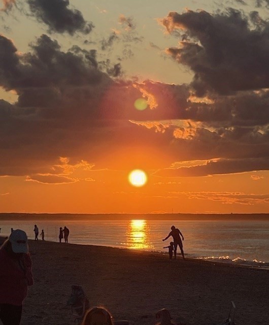 33 Easterly Dr, Sandwich, MA 02537 - Image 26