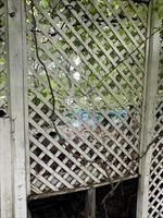 80 Bungalow Street, Southwick, MA 01077 - Image 13