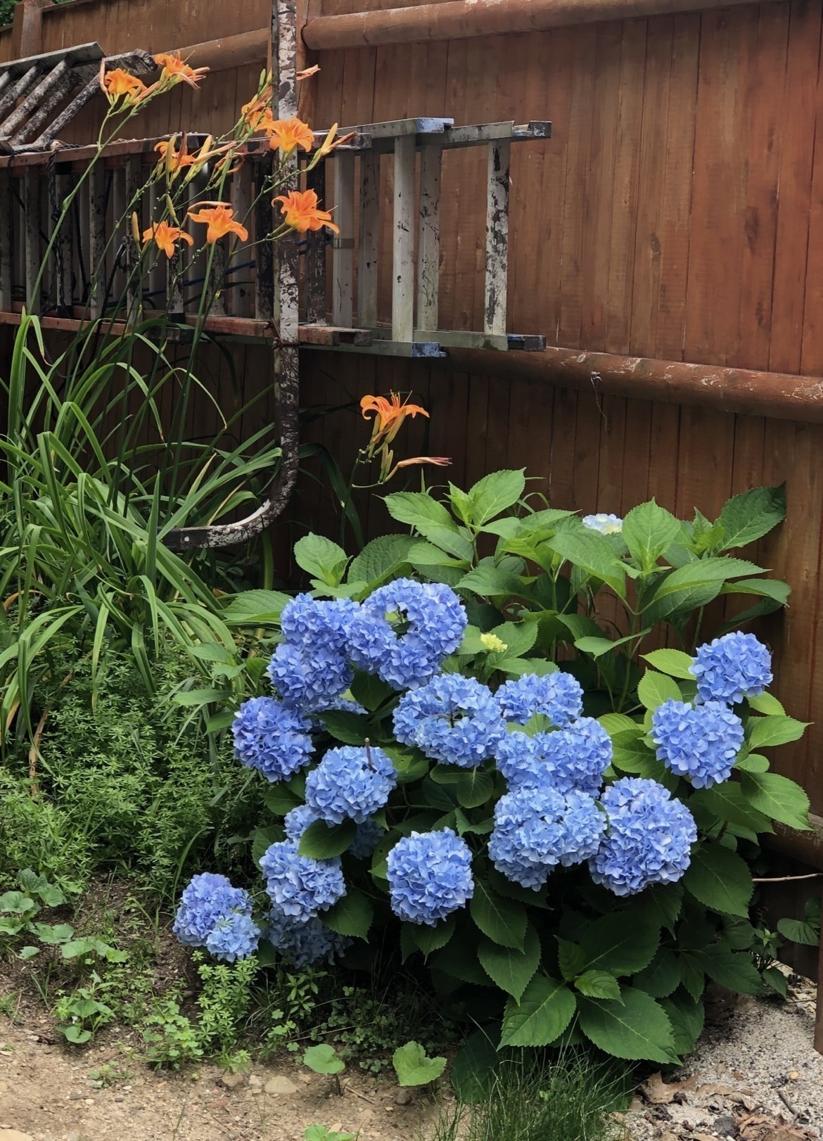 18 Windemere Road, Worcester, MA 01602 - Image 34