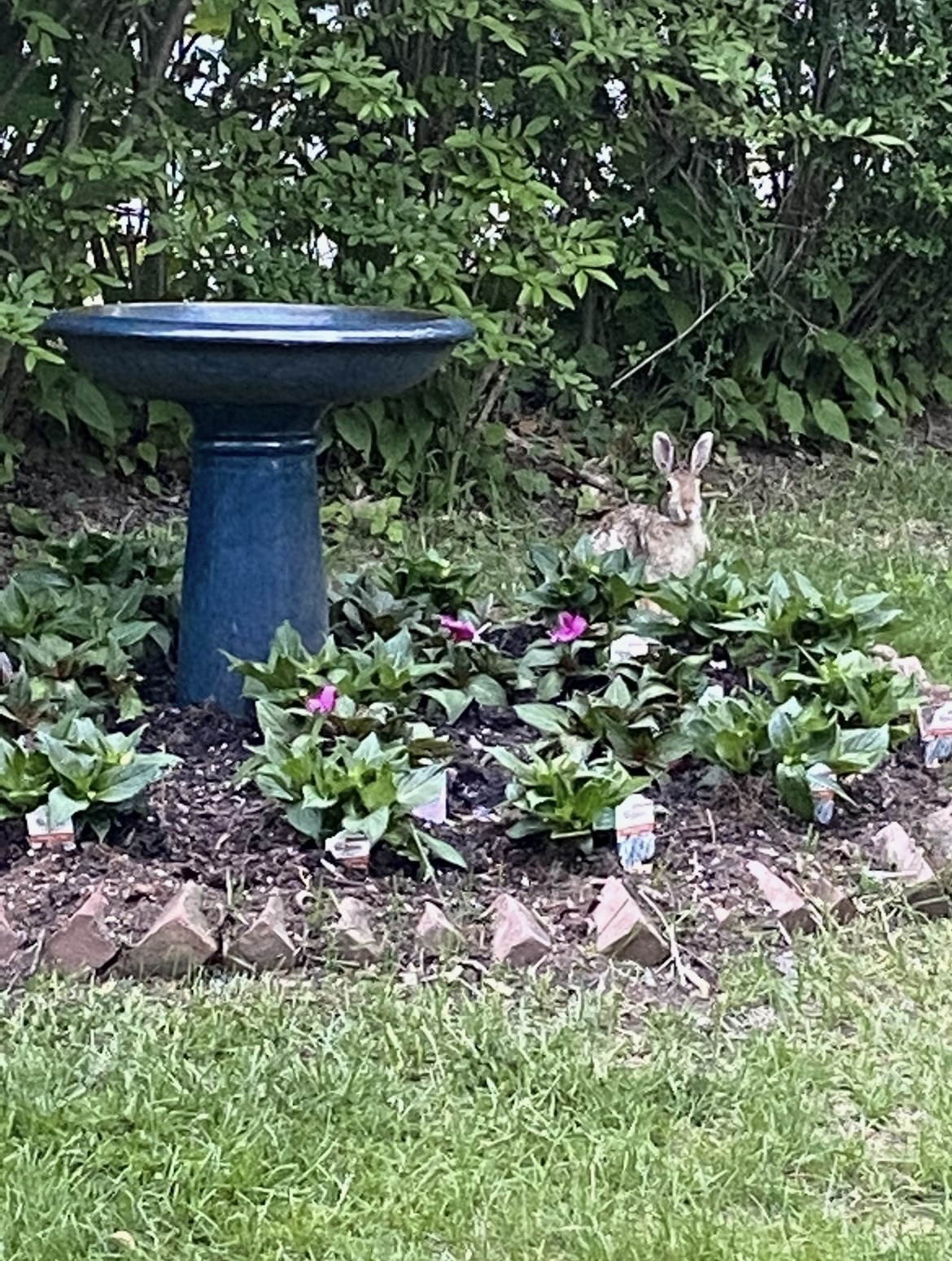 18 Windemere Road, Worcester, MA 01602 - Image 37