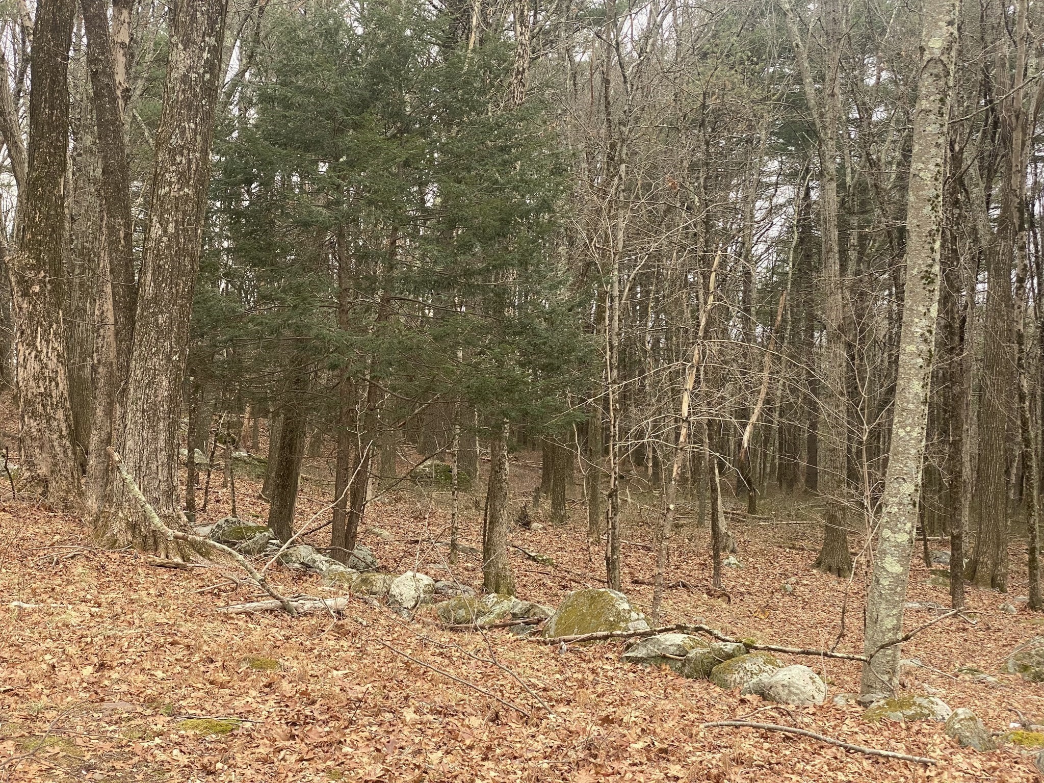 260 Elm St, Walpole, MA 02081 - Image 35