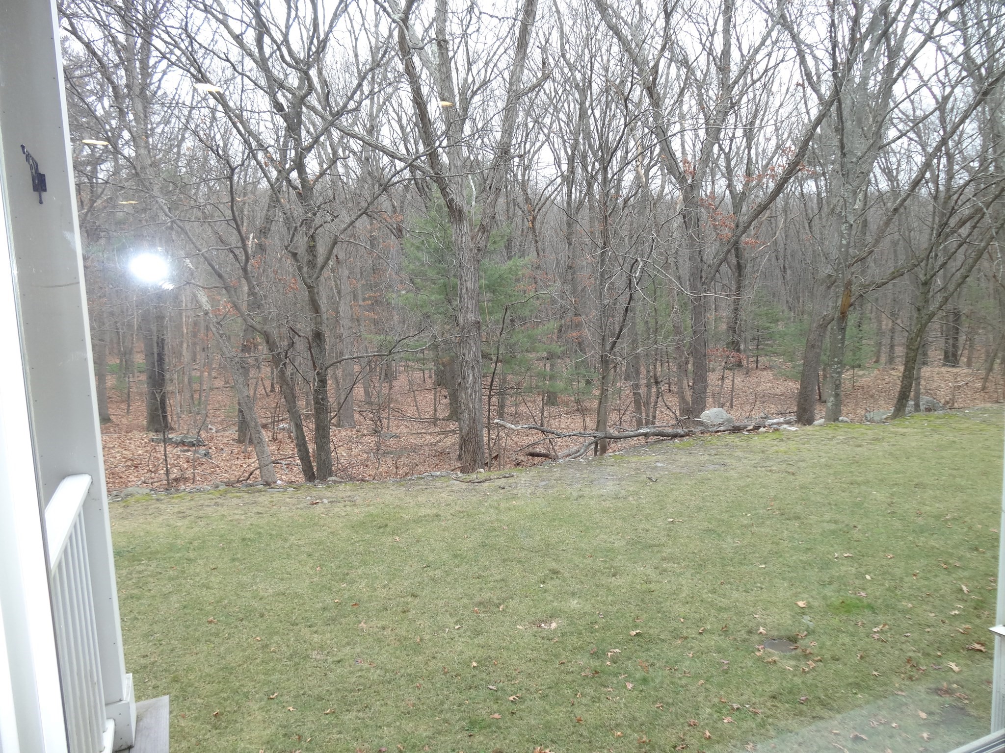 2 Inwood Dr Unit 1005, Woburn, MA 01801