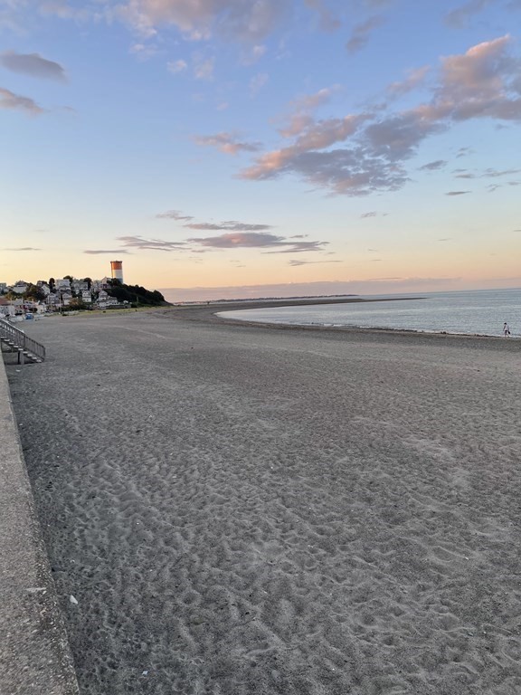 66 Plummer Ave Unit 3, Winthrop, MA 02152 - Image 32