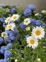 35 Heron, West Roxbury, Boston, MA 02132 - Image 21