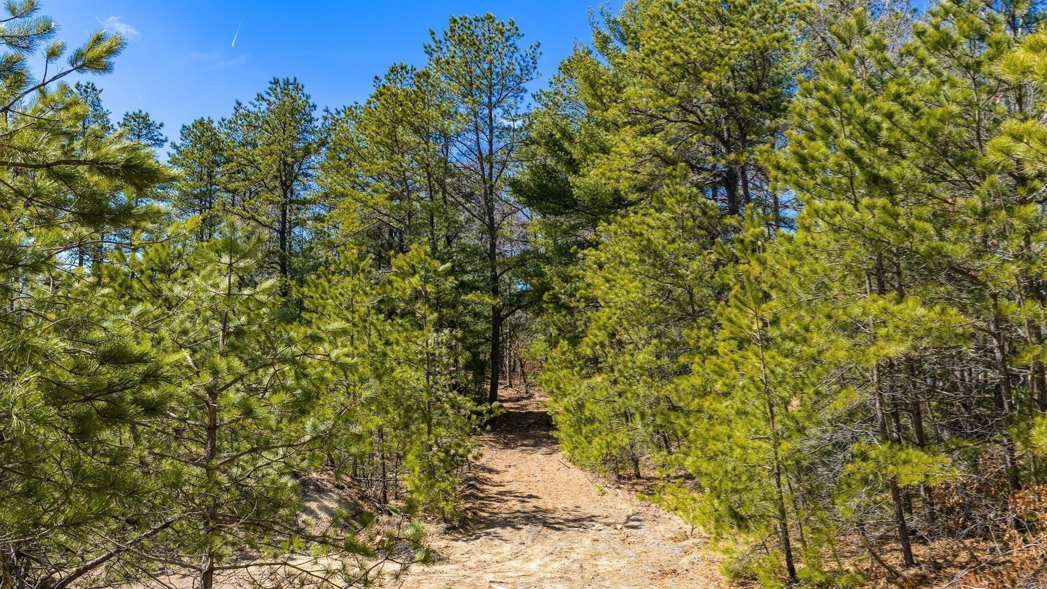 2 Edwards Bridge Road, Marion, MA 02738 - Image 32