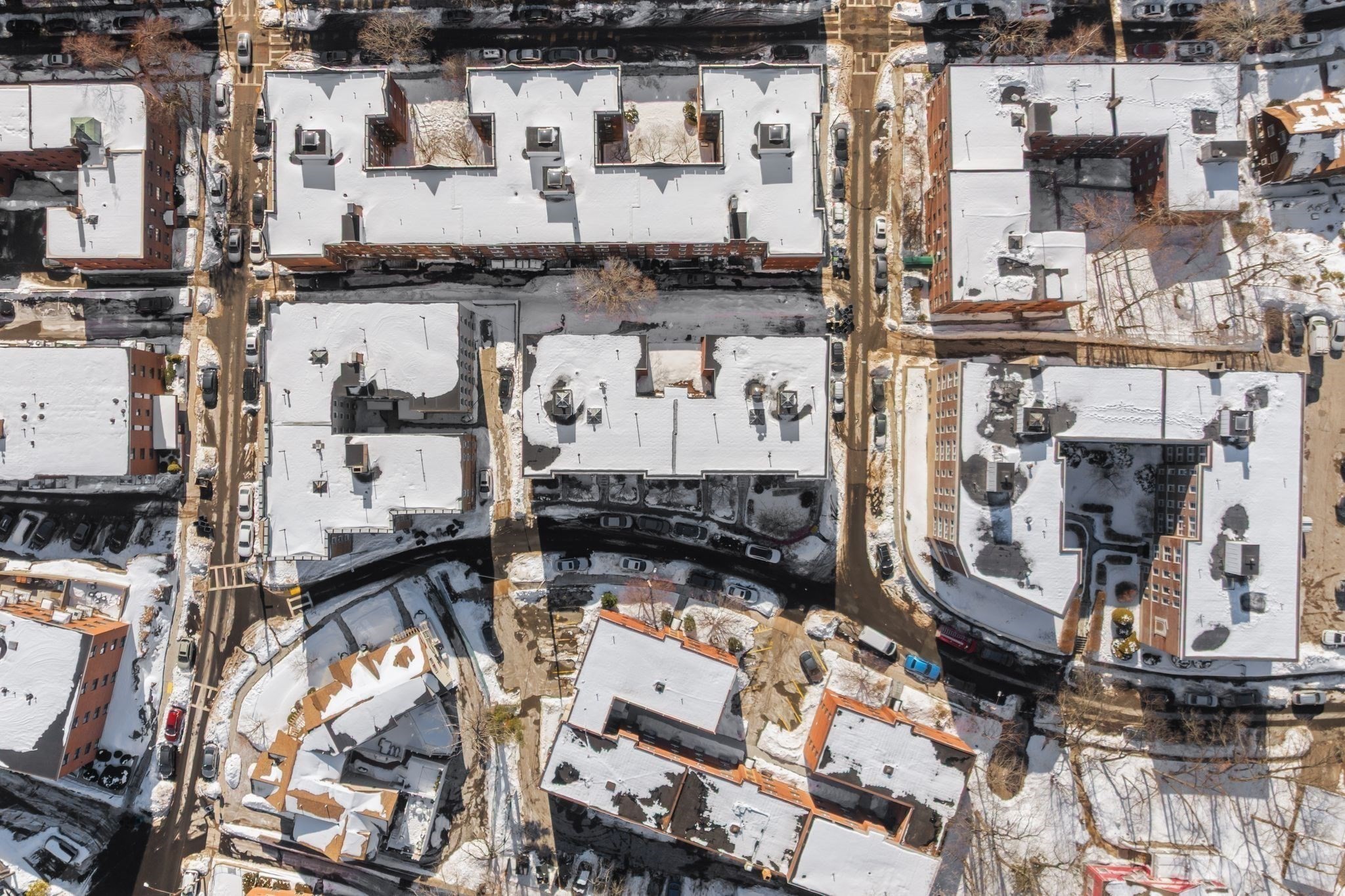 56 Selkirk Road, Boston College, Boston, MA 02135 - Image 17