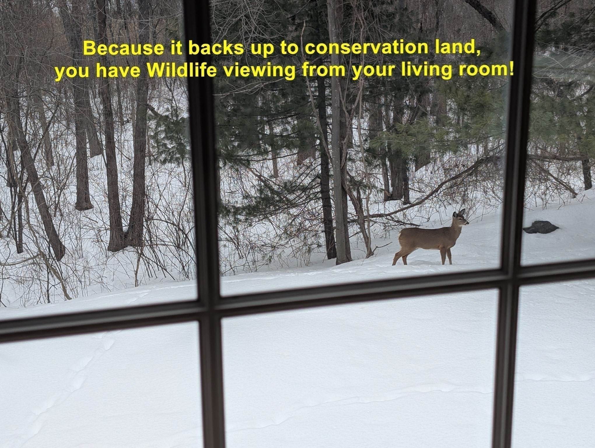 30 Weatherly Drive Unit 30, Salem, MA 01970 - Image 28