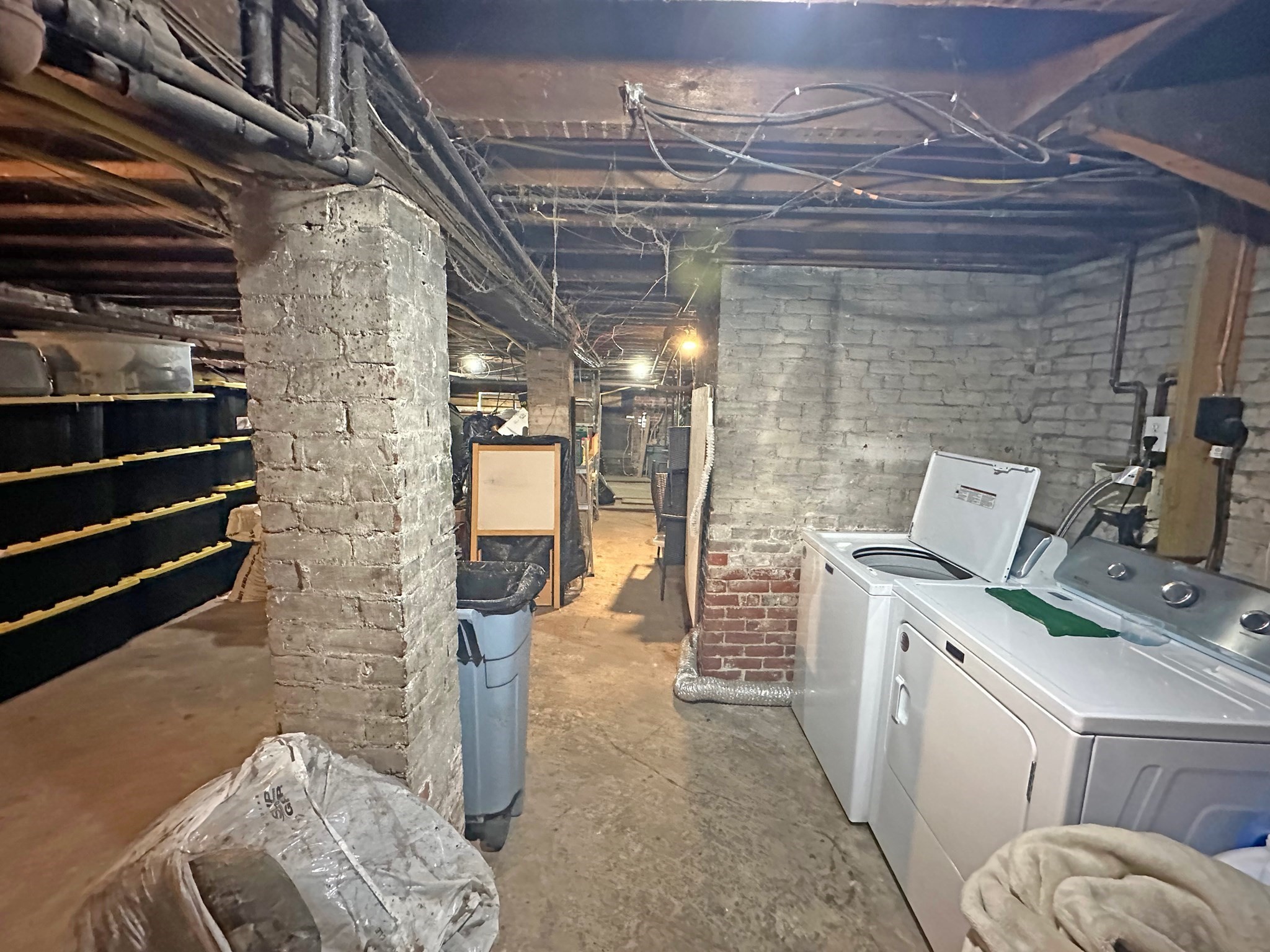 76 Belden St, Dorchester, Boston, MA 02125 - Image 11