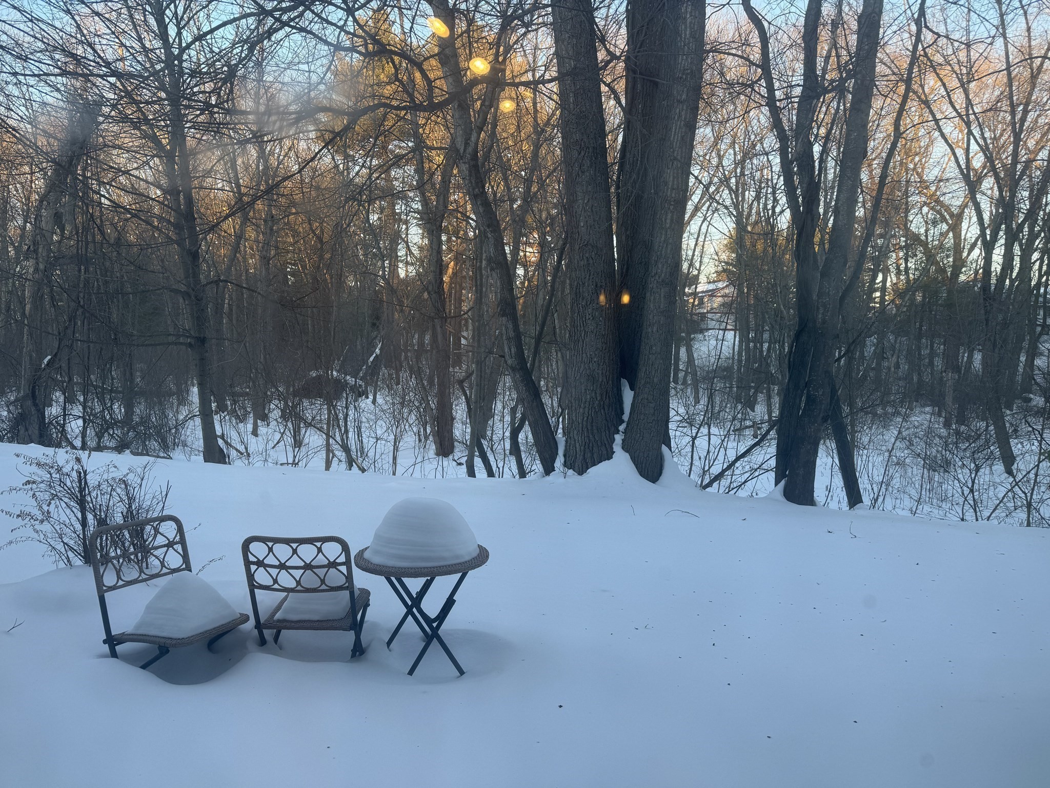 52 Village Brook Ln Unit 14, Natick, MA 01760 - Image 16