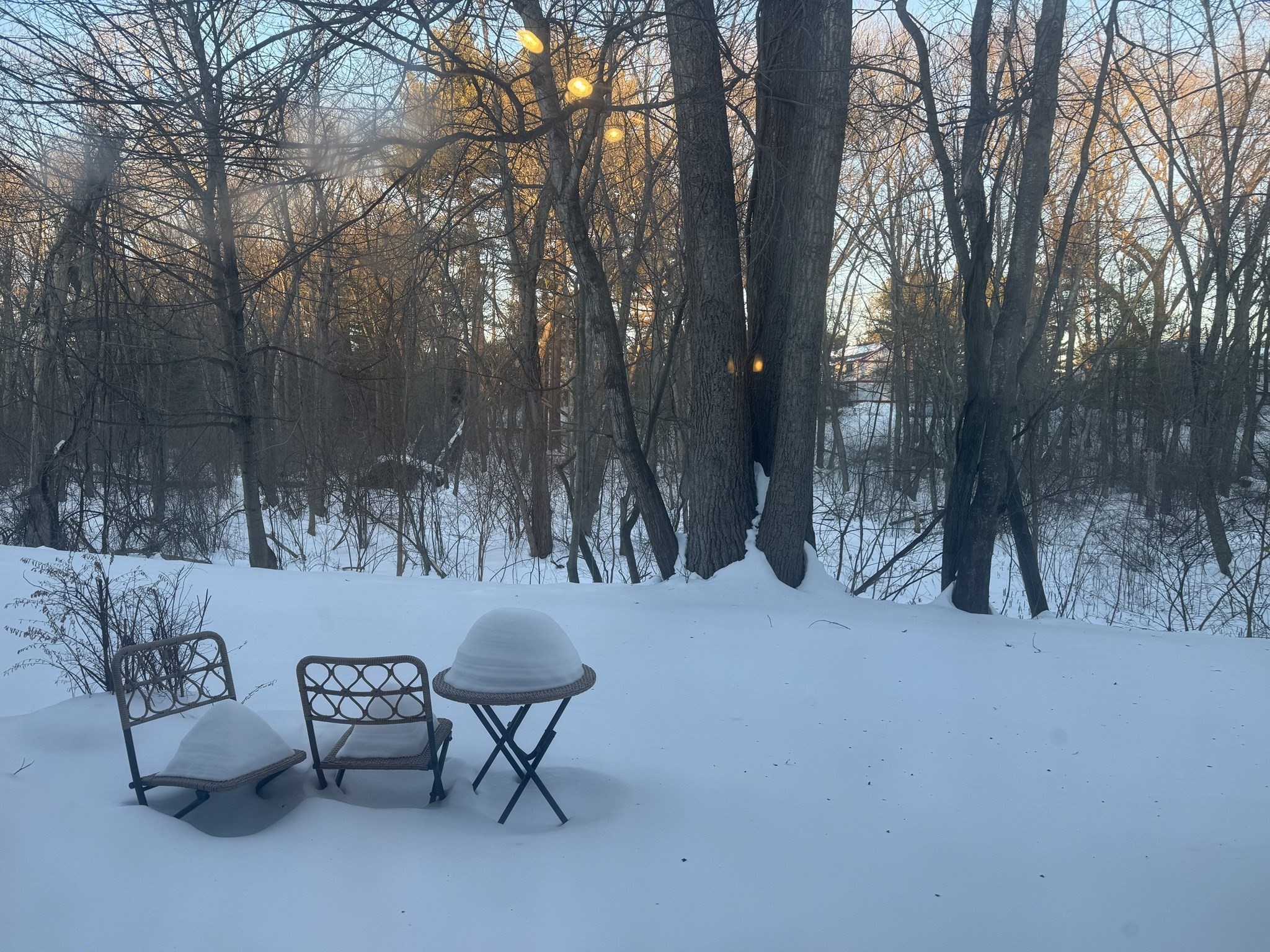 52 Village Brook Ln Unit 14, Natick, MA 01760 - Image 17