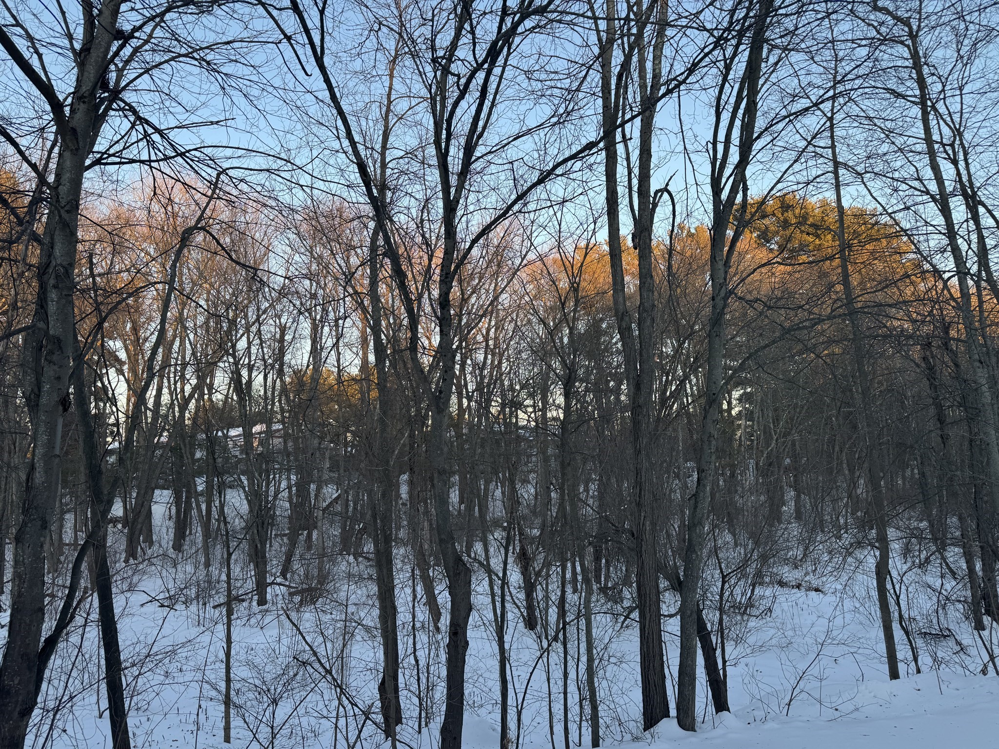 52 Village Brook Ln Unit 14, Natick, MA 01760 - Image 20