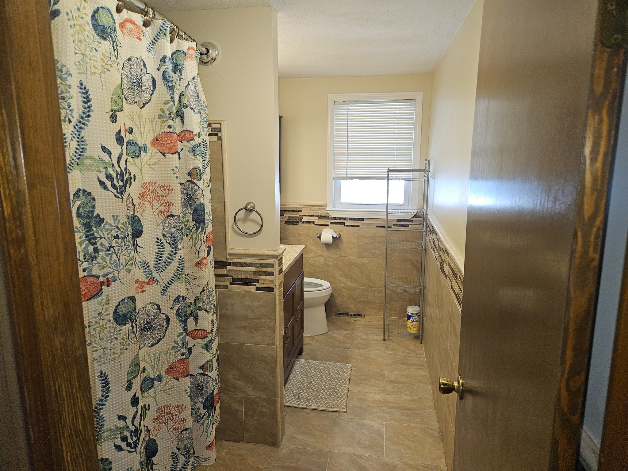 33 Hemlock Ter, Randolph, MA 02368 - Image 19