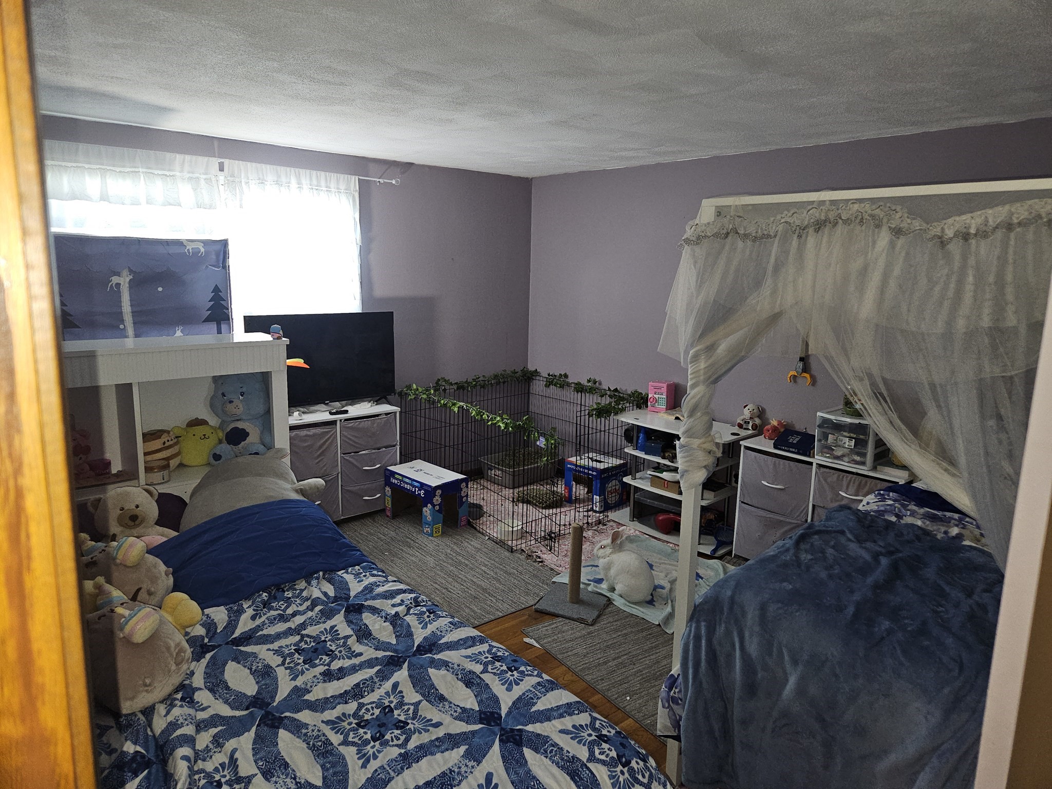 33 Hemlock Ter, Randolph, MA 02368 - Image 29