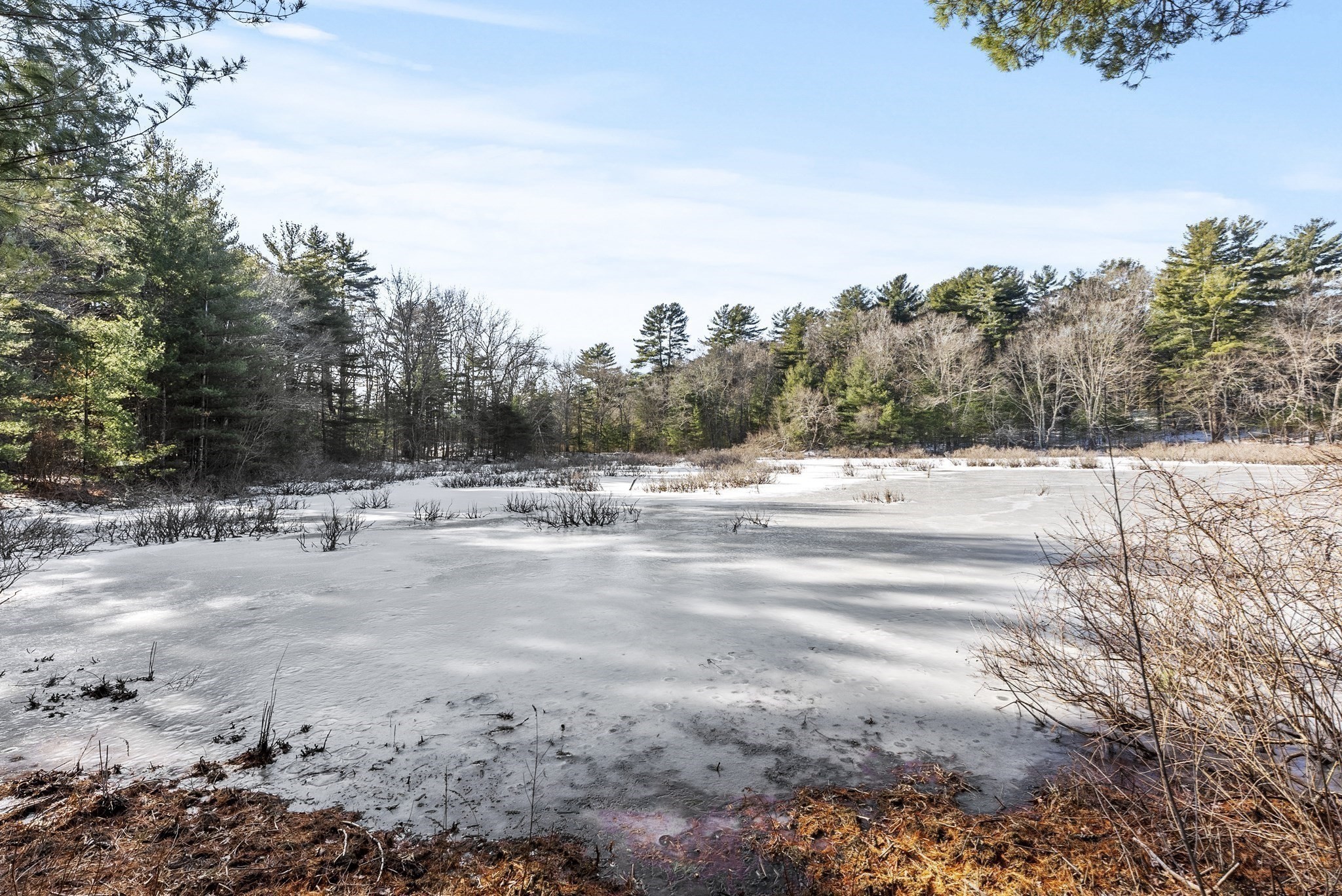 115 Kennedy Rd, Stoughton, MA 02072 - Image 39