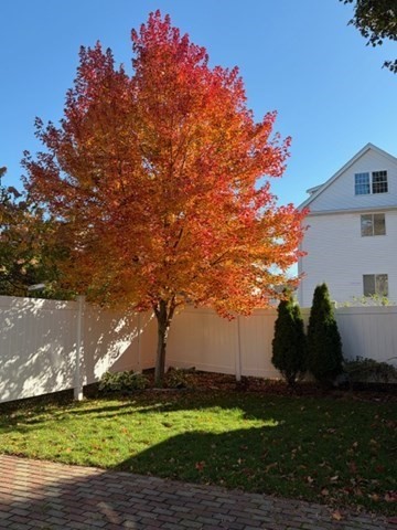 43 Kenmere Rd Unit 1, Medford, MA 02155 - Image 38