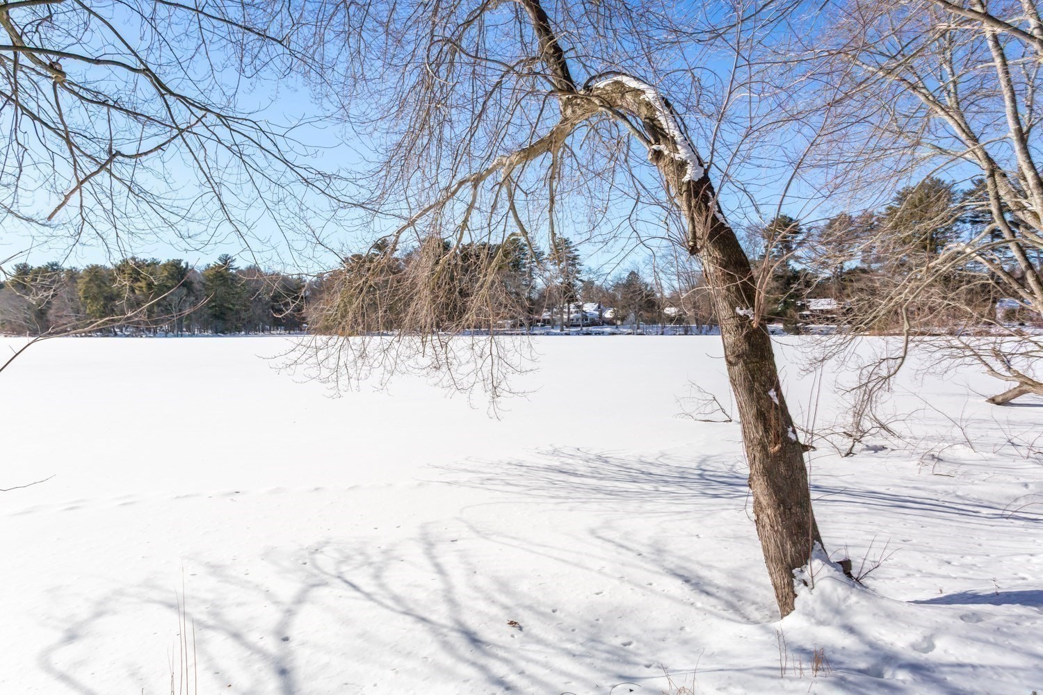 81 Edgewater Drive, Framingham, MA 01702 - Image 36