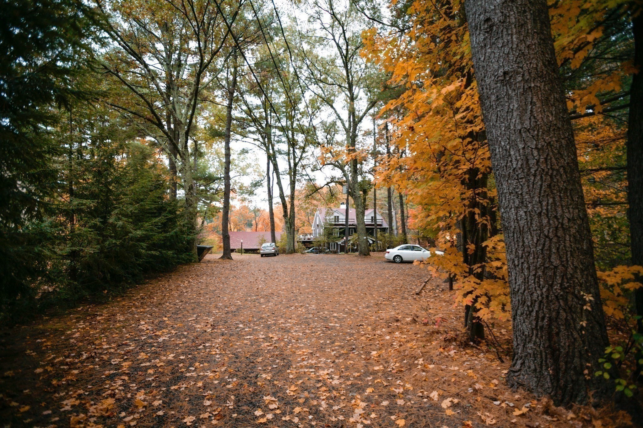 557 Dutton Rd Unit 2, Sudbury, MA 01776 - Image 24