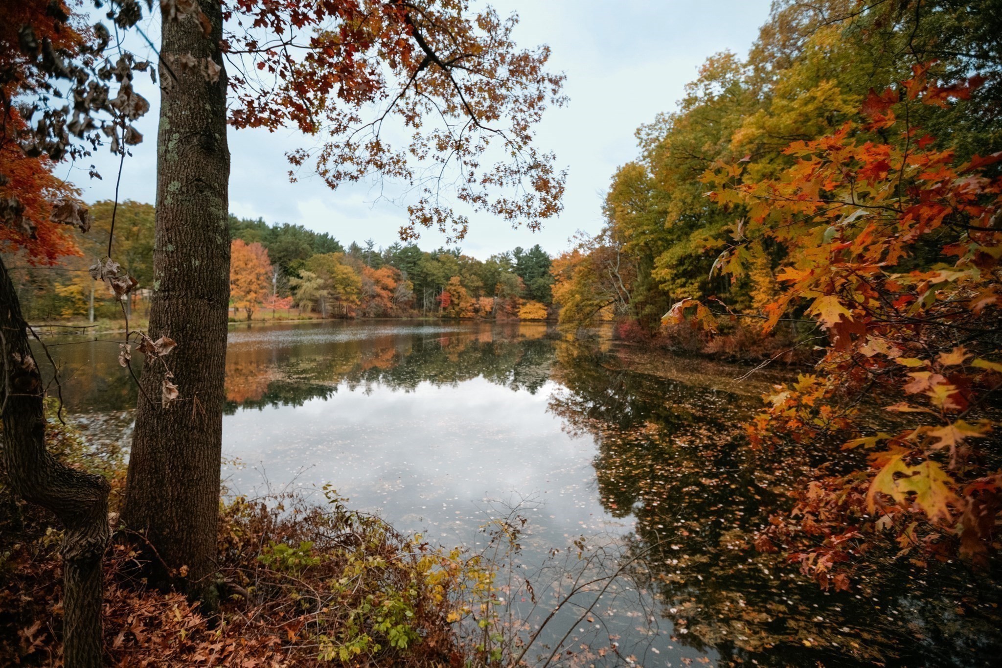 557 Dutton Rd Unit 2, Sudbury, MA 01776 - Image 4