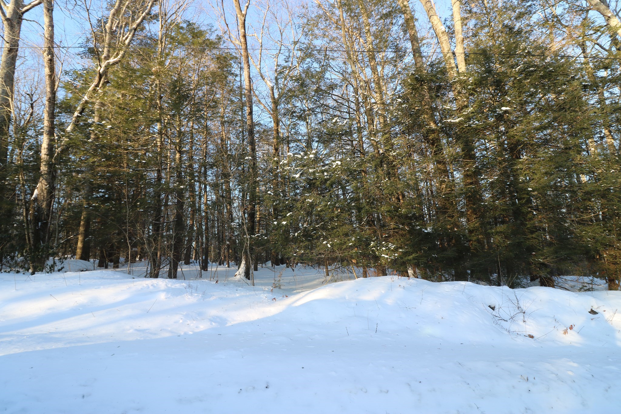 35 Ladd Rd, Sturbridge, MA 01566