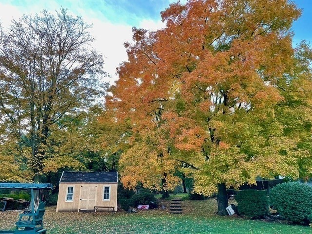 67 Charles St, Weymouth, MA 02189 - Image 36