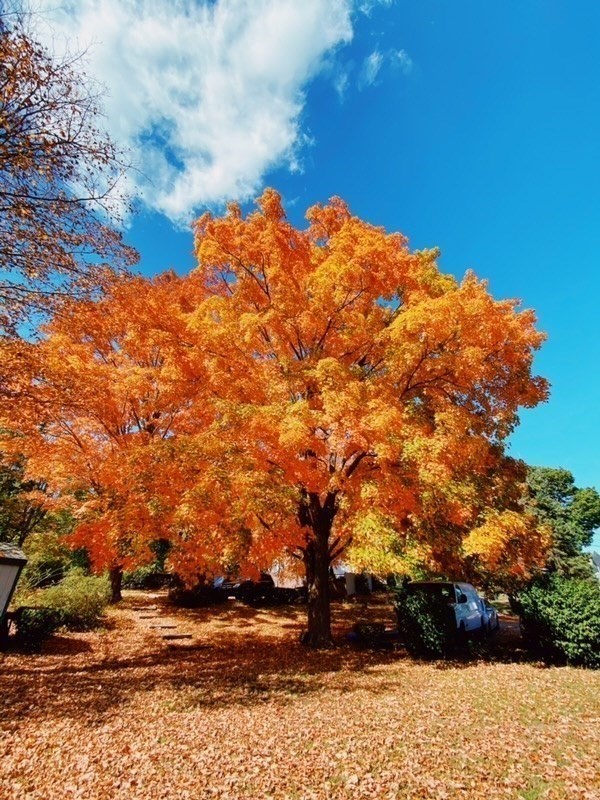 67 Charles St, Weymouth, MA 02189 - Image 38