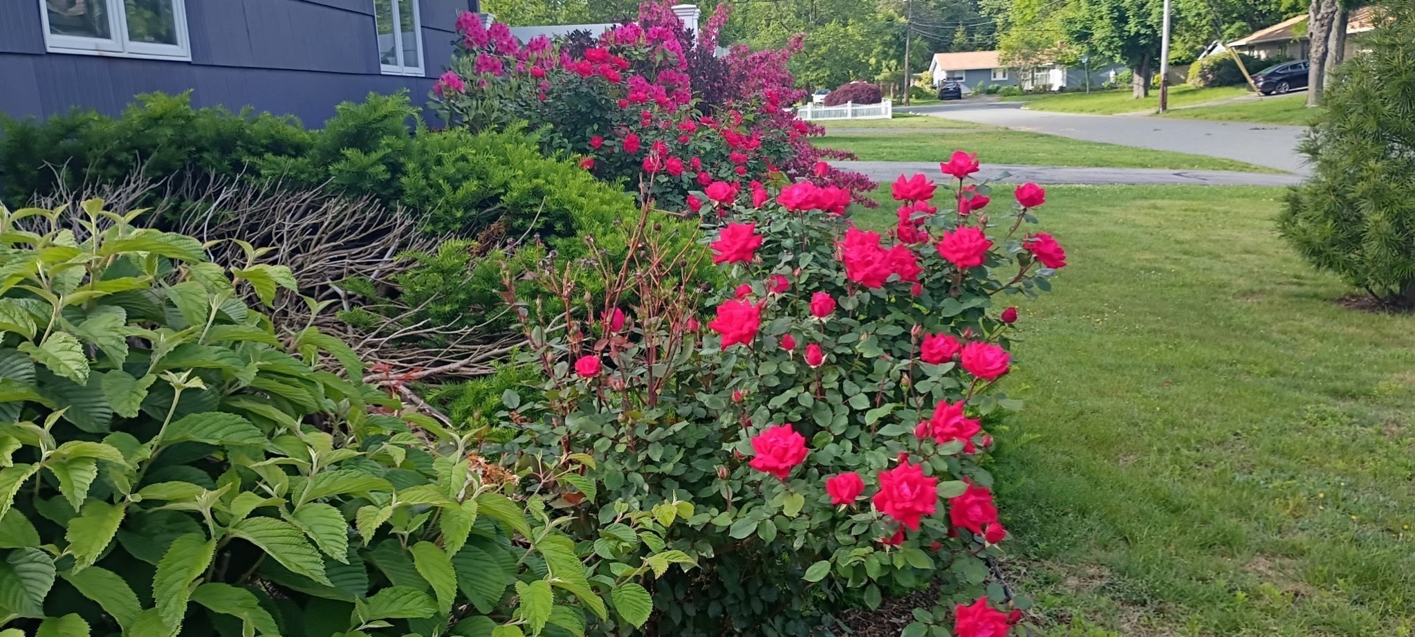 14 Ridgefield Dr, Framingham, MA 01701 - Image 39