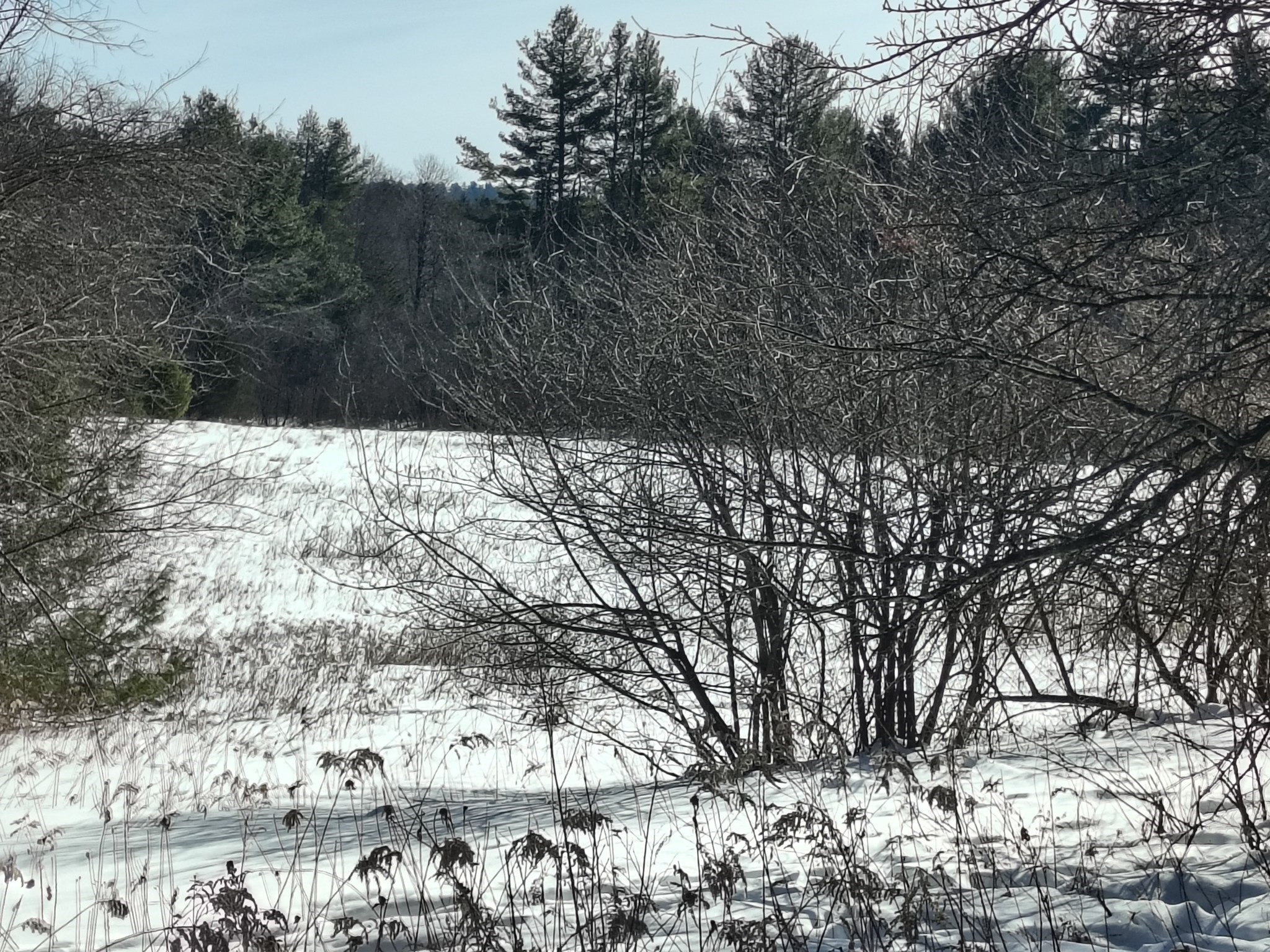 0 Capen/ Clark Road, Worthington, MA 01098