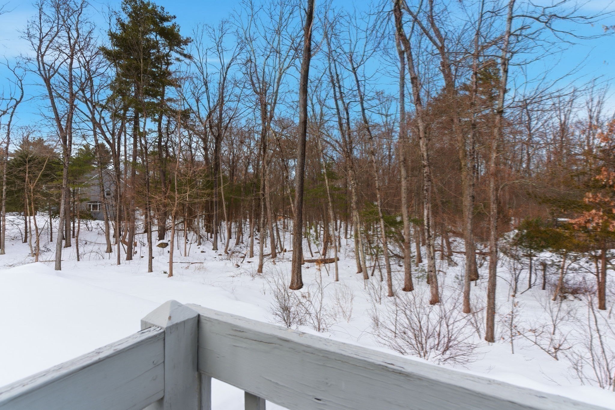 46 Brewster Road, Sudbury, MA 01776 - Image 26