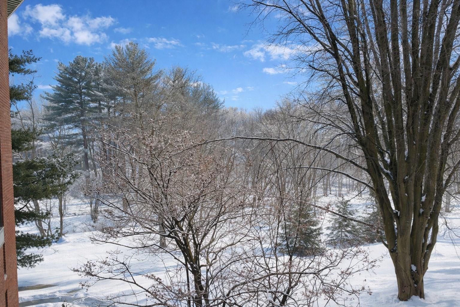 85 Grove St Unit 203, Wellesley, MA 02482 - Image 28