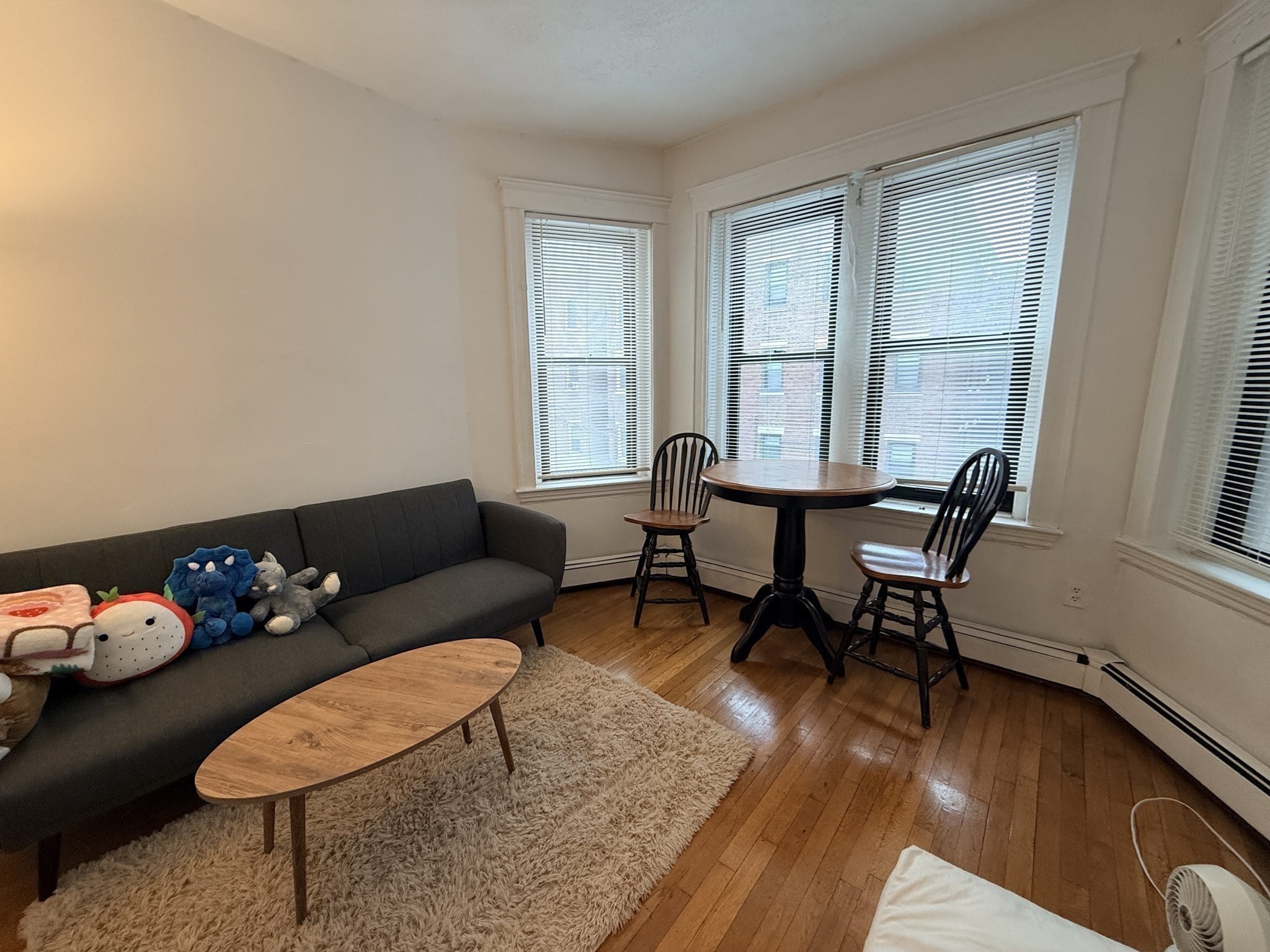 451 Park Dr Unit 2C, Fenway, Boston, MA 02215 - Image 3