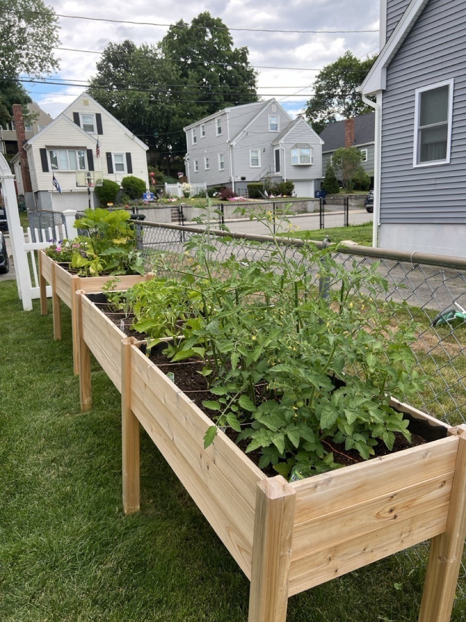 41 Vogel St, West Roxbury, Boston, MA 02132 - Image 37