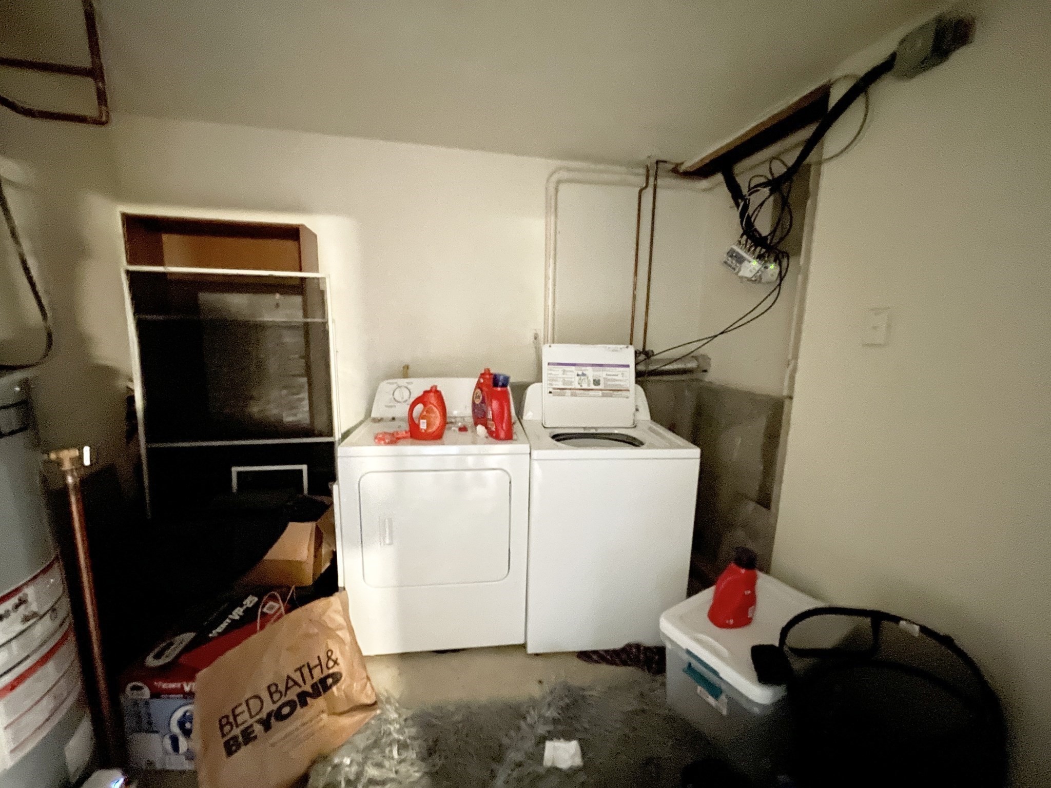 6 Harleston St Unit 6, Mission Hill, Boston, MA 02120 - Image 12