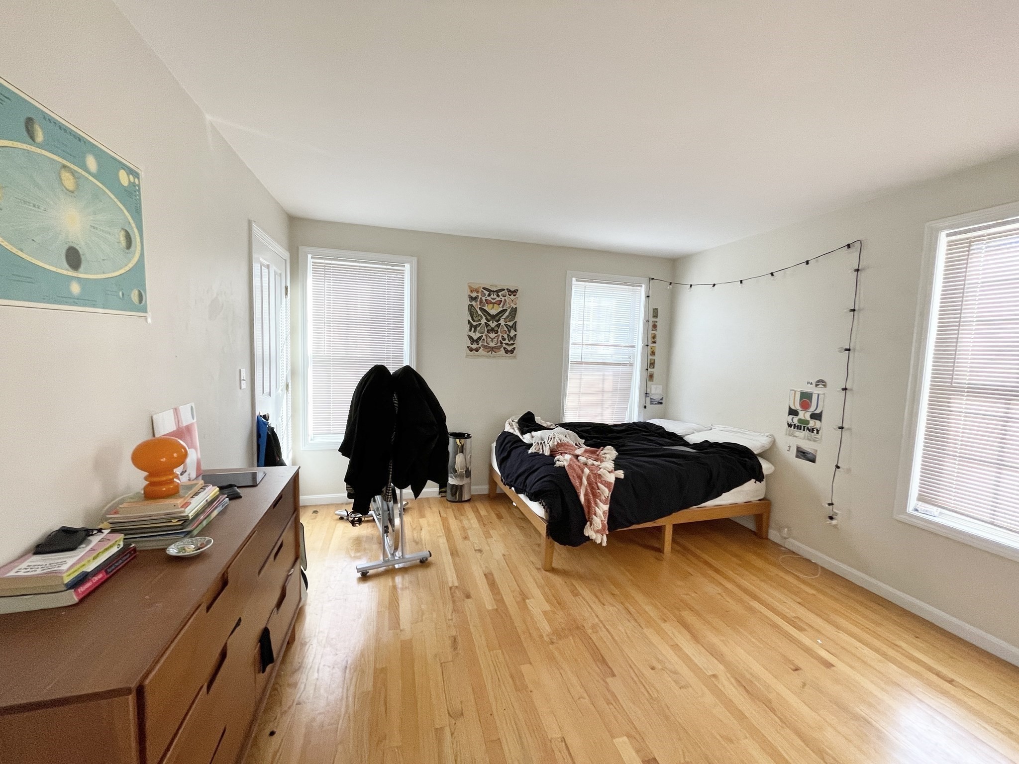 6 Harleston St Unit 6, Mission Hill, Boston, MA 02120 - Image 8