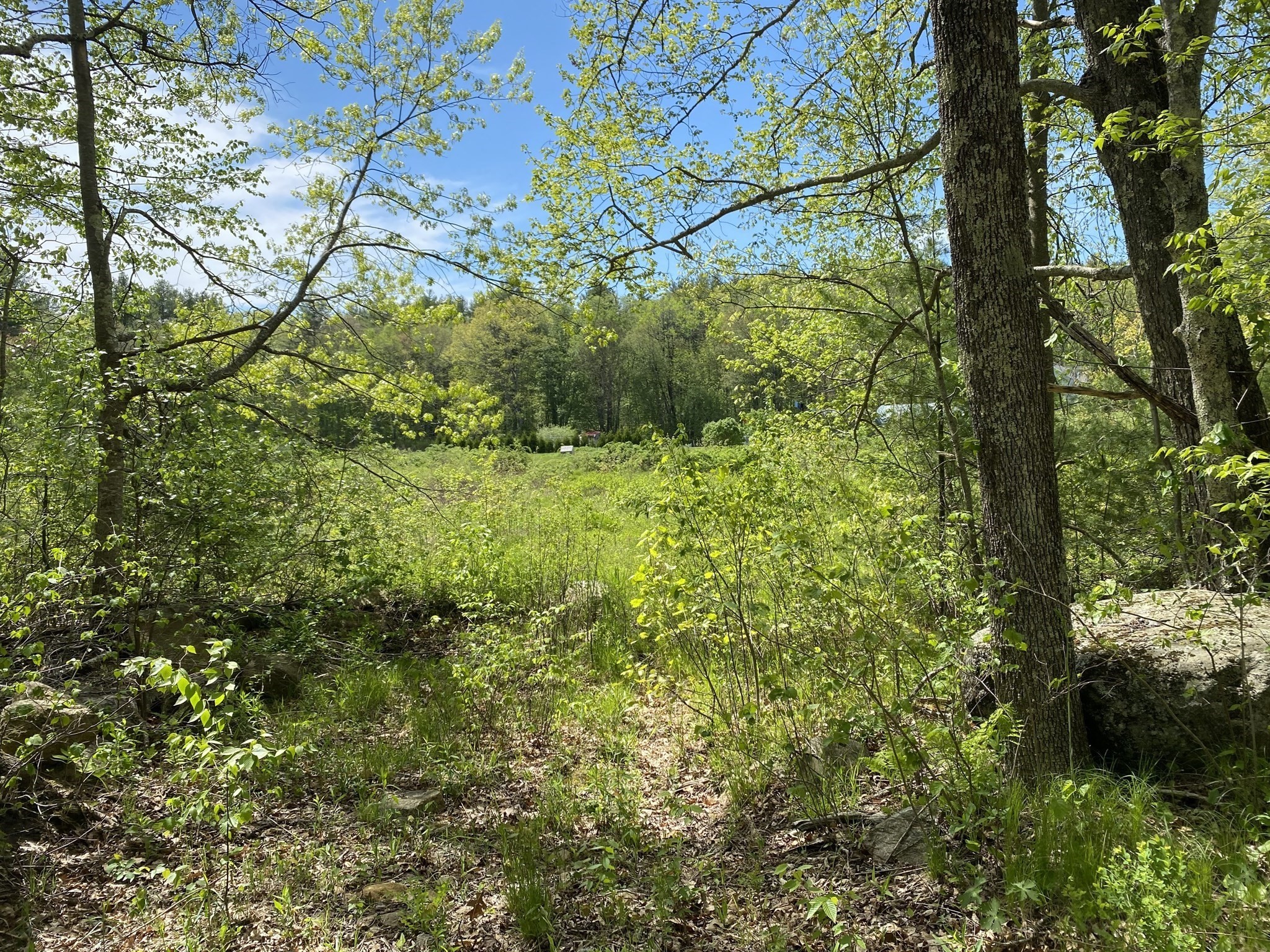 3 West Rd, New Braintree, MA 01535