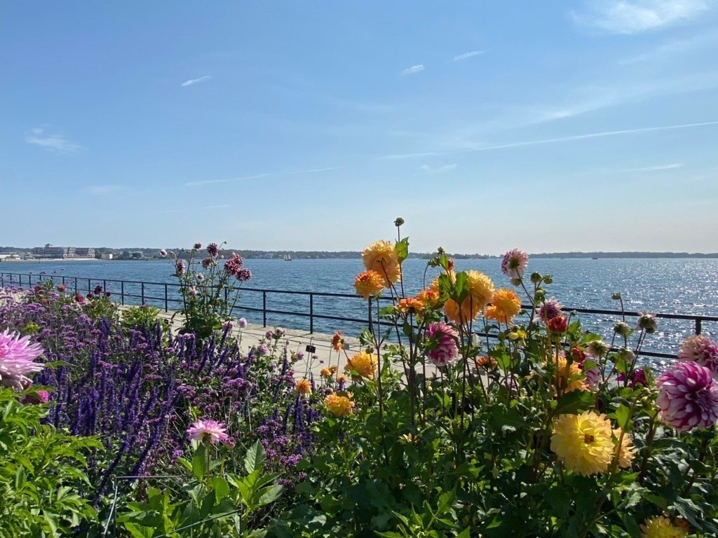 33 Maplewood Avenue Unit 310, Gloucester, MA 01930 - Image 3