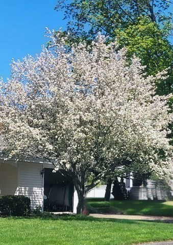 12 Tulane Rd, Danvers, MA 01923 - Image 2